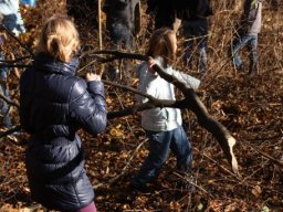 08_Auch_Aeste_werden_bewegt