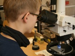 12_Mikroskopie_Vincent