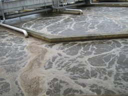 7_Biologisches_Becken